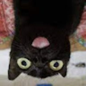 Meet your Posher, Sierra